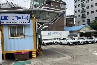 “월급 300만원에도 기사 없다”…빈 택시 운전대 잡는 외국인들