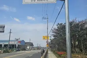 전남 지역 스쿨존, 심야 제한속도 50㎞로 탄력 운영···최대 226곳 검토