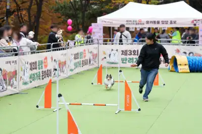 중랑구, ‘반려견 친구 만들기’ 교육