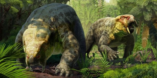 영국 런던 자연사박물관 수장고에서 63년 정도 묻혀 있던 화석을 재분석한 결과 공룡의 탄생 시기를 앞당길 수 있을 것으로 예측된다.  영국 브리스톨대 제공