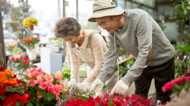 “베란다 정원이 효자네”…노년층 혈압·불안 낮추는 10분 원예의 힘
