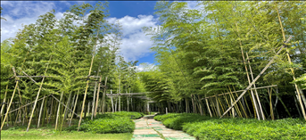 F1963정원  소리길