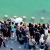 “연휴에 더 몰릴라”…부산 북항 상어 구경 인파에 안전대책 논의
