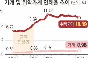 한은 “금리 인상 후폭풍 9개월 뒤 본격화”