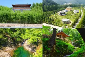 “추석 명절, 가을빛 물든 담양으로”…죽녹원·소쇄원 한가위 당일 무료 개방