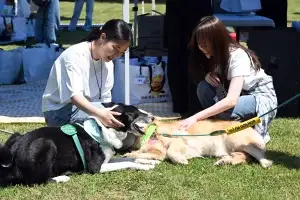전북도, 명절 연휴 동물병원 비상대응체계 운영