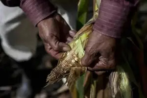 제주도 면적 ‘초토화’ 10년 만에 최대 가뭄…“내년까지 간다” 무슨 일 [지금, 지구]