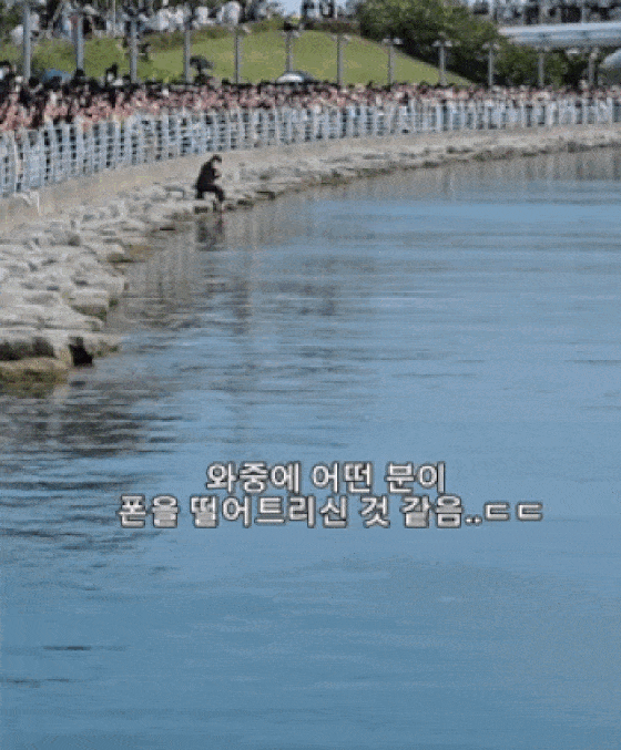 부산 북항친수공원 수로에 머무르고 있는 상어 ‘부캉이’를 보기 위해 연일 시민들이 몰려든 가운데 한 시민이 수로에 빠뜨린 휴대전화를 건지기 위해 물속으로 들어갔다. 온라인 커뮤니티 캡처