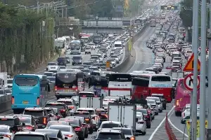 추석 밥상 차리다 불, 고향길에 사고… 벌 쏘임 ‘최다’ 명절 안전주의보