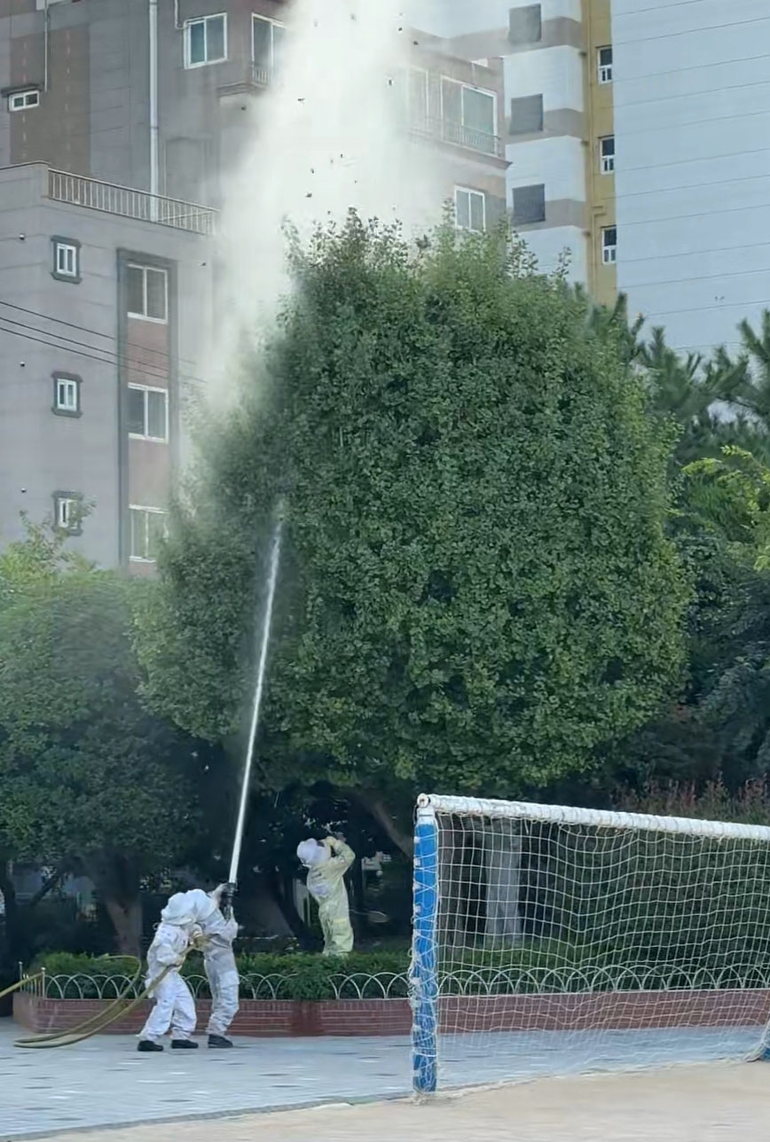 부산 서구 초등학교서 벌쏘임 사고