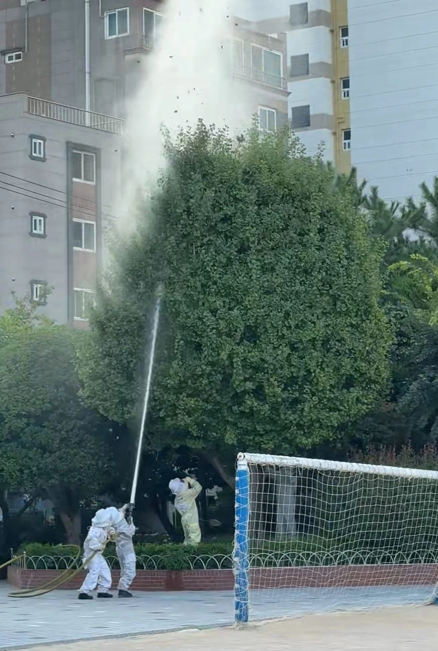 부산 서구 초등학교서 벌쏘임 사고