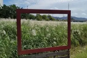 울산시, ‘태화강 물억새 생태체험장’ 운영