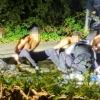 “복면쓴 젊은이 뛰어다녀” 농부 신고로 군기지 테러막아