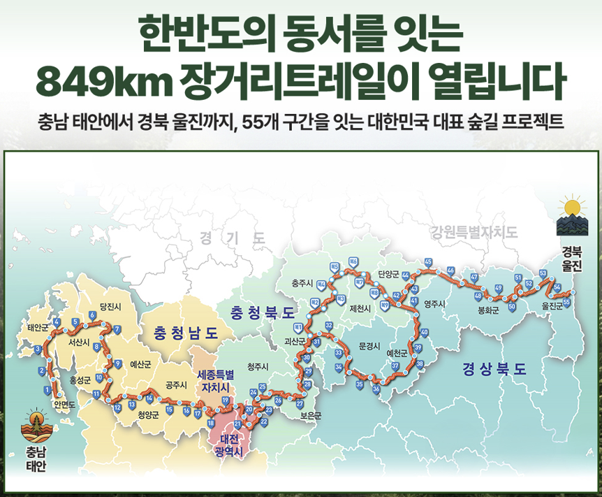 동서트레일 노선. 서울신문 DB