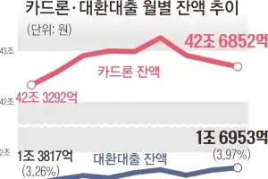 카드론 돌려막기 올 들어 23% 급증… 1조 7000억 ‘상환 경고등’