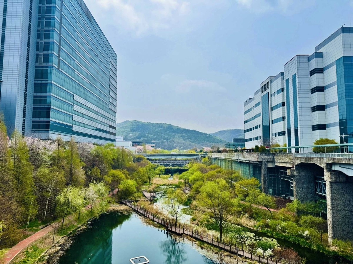 LG디스플레이 파주 사업장 인근 인공하천인 만우천. LG디스플레이 제공