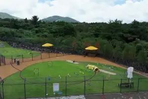 “사지 말고 만나보세요”… 나응식·설채현과 함께 제주 첫 유기동물 입양축제