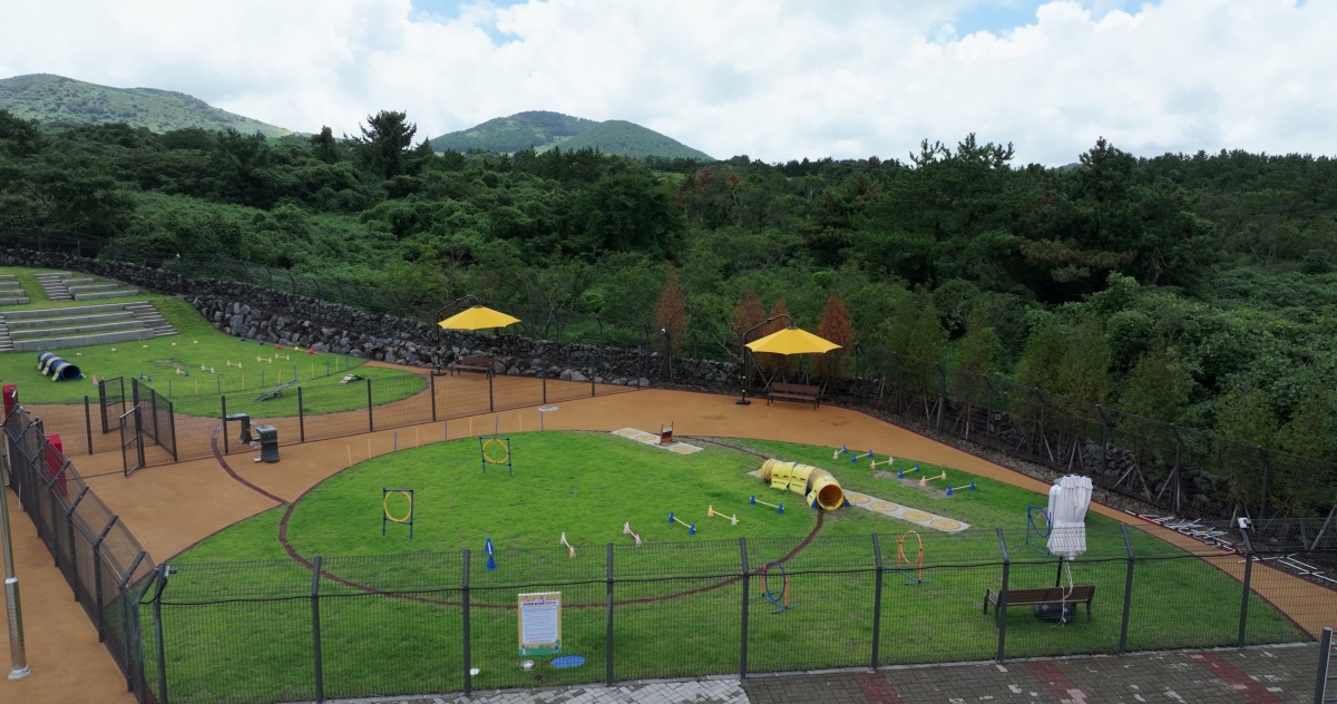 제주도 동물위생시험소는 다음 달 11일 오후 1시부터 5시까지 제주시 애월읍 제2동물보호센터에서 ‘제1회 제주 입양오름제’를 연다. 사진은 제2동물보호센터 놀이터 전경. 제주도 제공