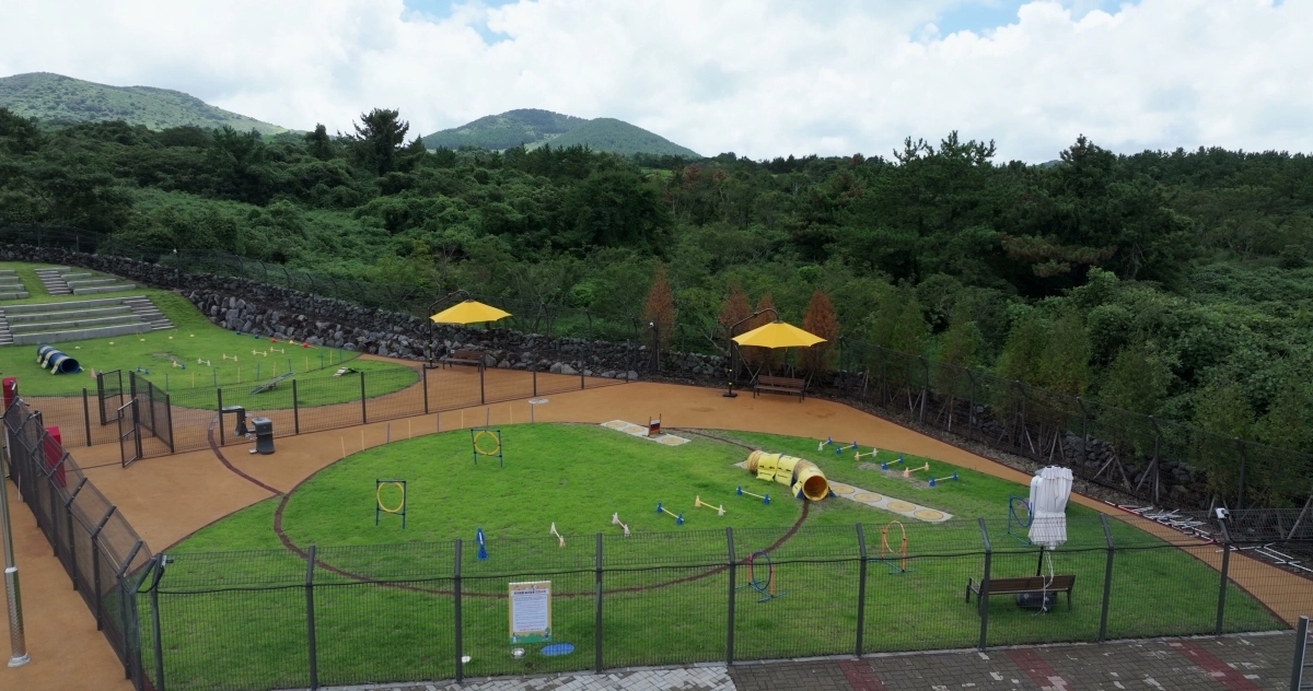 제주도 동물위생시험소는 다음 달 11일 오후 1시부터 5시까지 제주시 애월읍 제2동물보호센터에서 ‘제1회 제주 입양오름제’를 연다. 사진은 제2동물보호센터 놀이터 전경. 제주도 제공