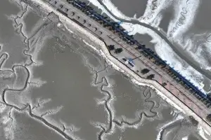 전국 갯벌 28% 품은 인천, ‘블루카본’ 연구 본격화