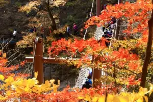 단풍철 불법주차 ‘꼼짝마’…설악산 특별교통대책 가동