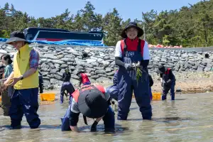 한국수산자원공단 ‘생태계 복원, 잘피 숲 조성’ 성공적 마무리