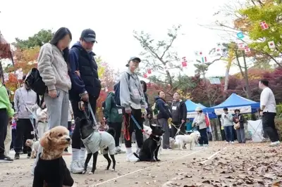 종로구, 삼청공원에 반려견과 뛰어노는 놀이터 연다