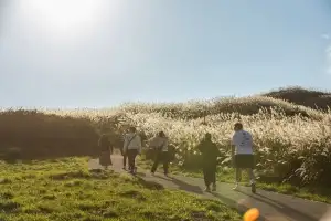 황토한우 굽고 억새 거닐고… 맛·멋 동시에