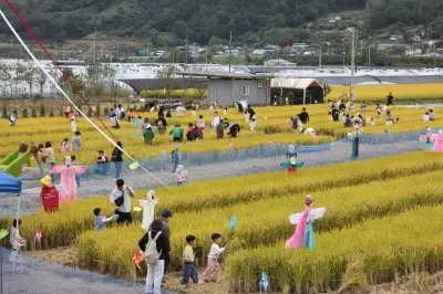 메뚜기와 ‘폴짝’… 성주 황금들녘 속으로
