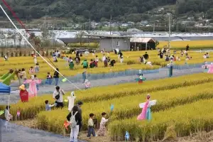 메뚜기와 ‘폴짝’… 성주 황금들녘 속으로