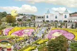 국화꽃 향기에 치즈향 솔솔… 임실로 떠나요