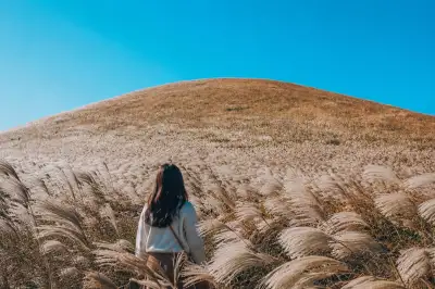 억새 은빛 물결, 메밀꽃 필 무렵… 제주의 가을에 스며들다