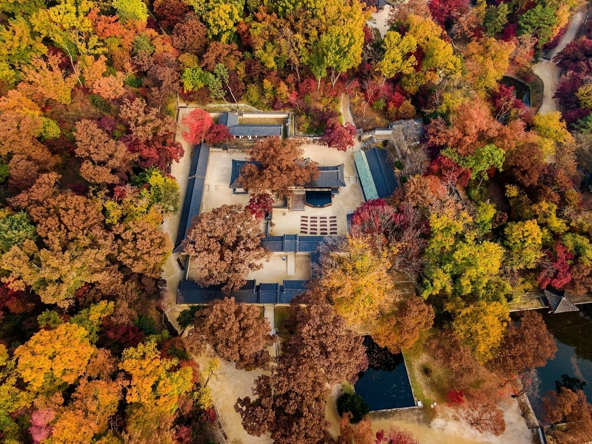 서울 종로구에 위치한 창덕궁 연경당 가을 풍경. 국가유산청 궁능유적본부 제공