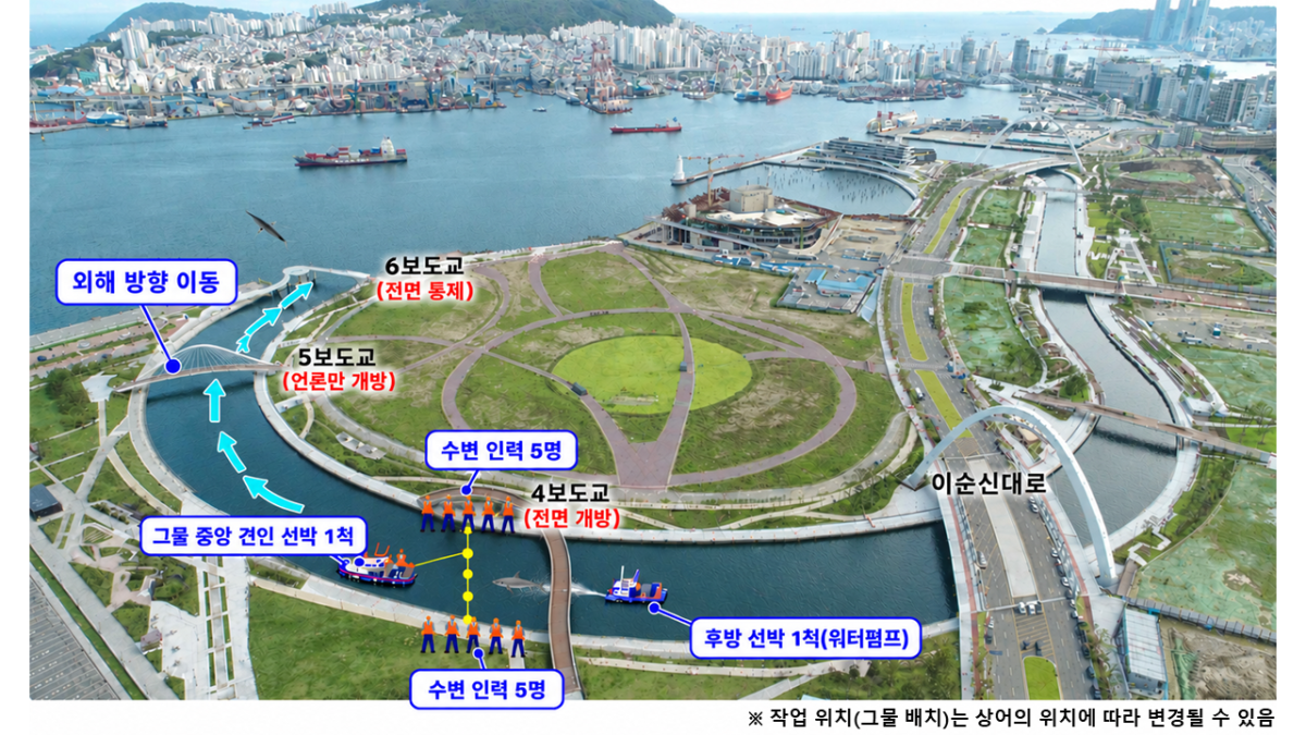 오는 2일 오후 3시 30분부터 부산 북항 친수공원 수로에서 진행되는 부캉이 구조 작업 계획. 부산시 제공