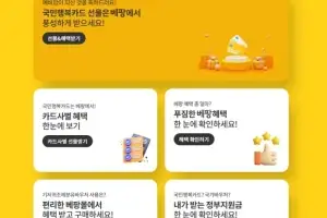 국민행복카드, 바우처는 같아도 카드사별 혜택 제각각… 베팡, 발급 혜택·바우처 결제 연계 운영