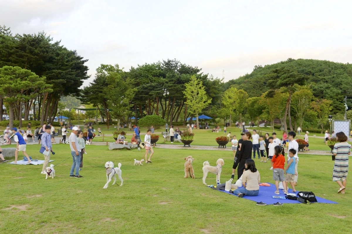 전남광주 순천 조례 호수공원을 산책하는 반려견들.  순천시 제공