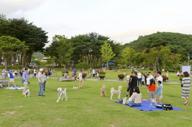 댕댕이·야옹이가 지역 살린다… “반려동물 함께오면 여행비 반값”