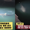 “밤에 부캉이 좀 괴롭히지 마세요” 손전등에 대형랜턴까지 비춰 논란 [이슈픽]