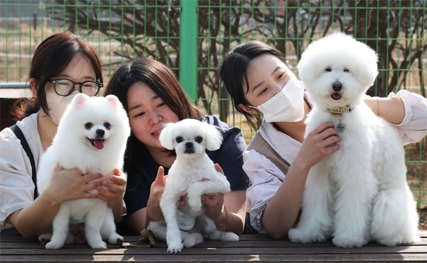 ‘국제 강아지의 날’인 지난 3월 23일 경기도 화성시 반려마루 화성에서 미용 봉사자들이 입양을 기다리는 강아지들 미용을 마친 후 강아지를 바라보고 있다. 사진은 기사 내용과 관련 없음.  연합뉴스