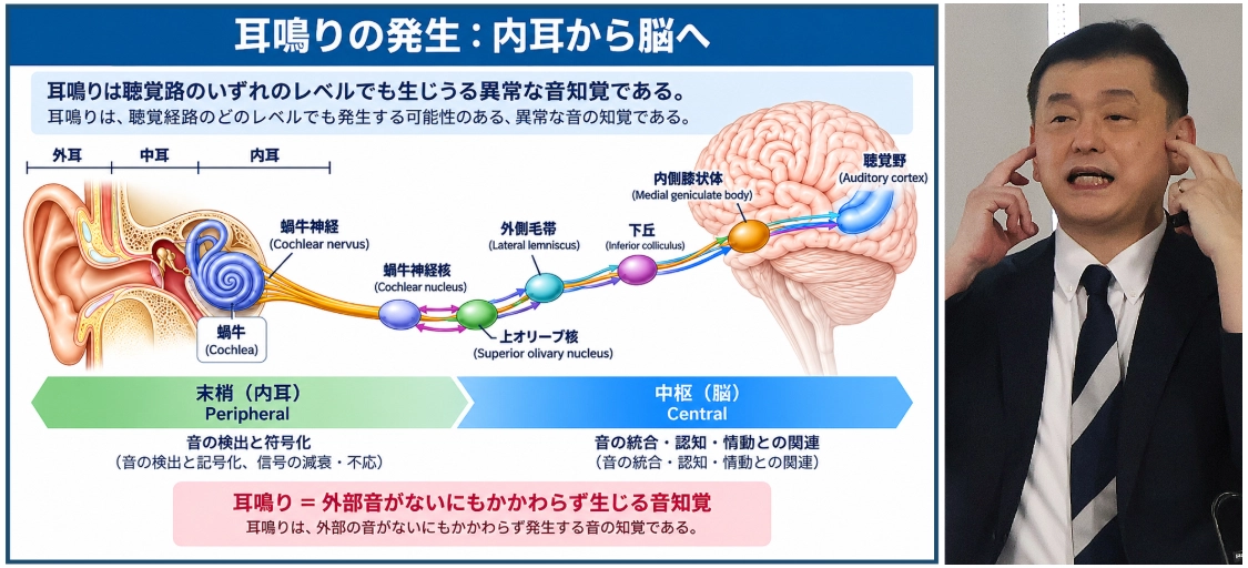 사카타 히데아키 NES 이사장(가와고에이과학클리닉 원장)
