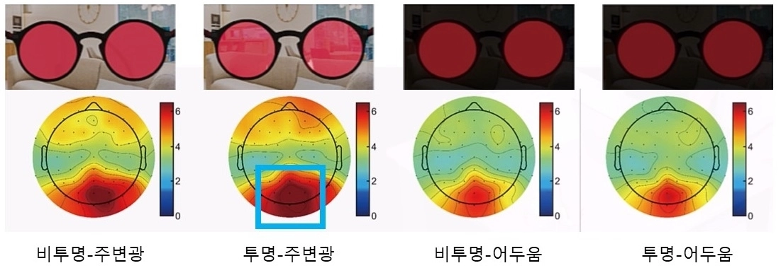 투명-비투명 OLED 안경과 주변광 유무를 조합한 네 가지 조건에서의 빛자극 결과. 투명 OLED와 주변광이 있는 조건(왼쪽 두 번째)에서 감마파 활동 변화가 가장 뚜렷했다.