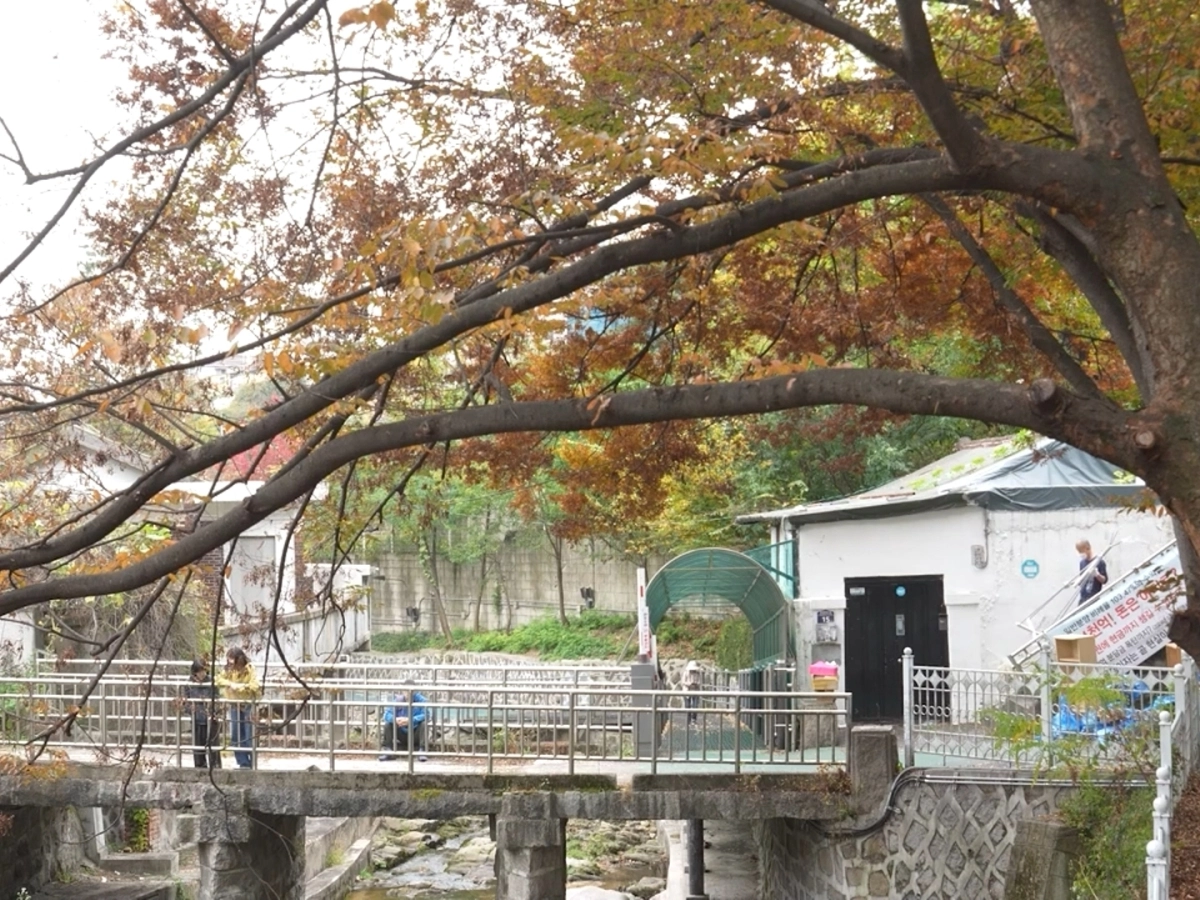 재개발을 앞둔 서울 성북구 정릉을 배경으로 한 이지윤 감독의 다큐멘터리 영화 ‘나무가 흔들릴 때 마음이 찾아온다’의 한 장면. 사라져 가는 마을과 그 안에서 살아가는 사람들의 일상을 40분 동안 섬세하게 담아낸다. 오랜 세월 정릉골을 지켜온 주민들의 삶과 기억을 따라가며 마을이 품어온 시간을 되짚는다.  서울인권영화제 제공