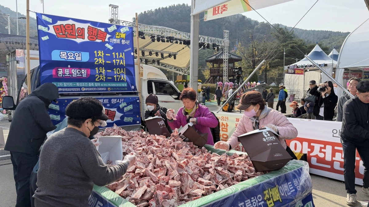 강원 홍천 인삼·한우 명품축제가 8일부터 11일까지 도시산림공원 토리숲에서 열린다. 사진은 지난해 축제 모습. 홍천군 제공