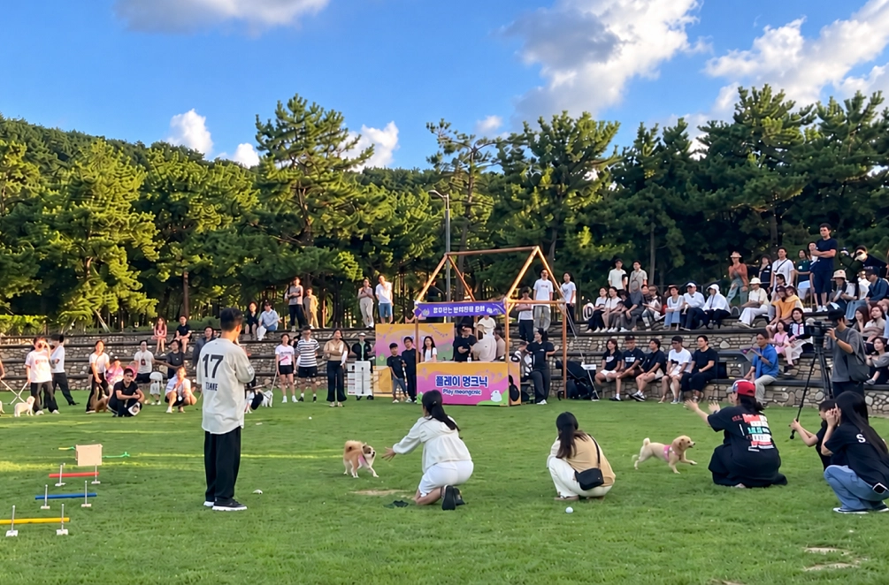 행안부 장관상을 수상한 부산관광공사가 주최한 다대포해수욕장 ‘별바다부산 나이트 캠크닉’ 현장 . 부산관광공사 제공
