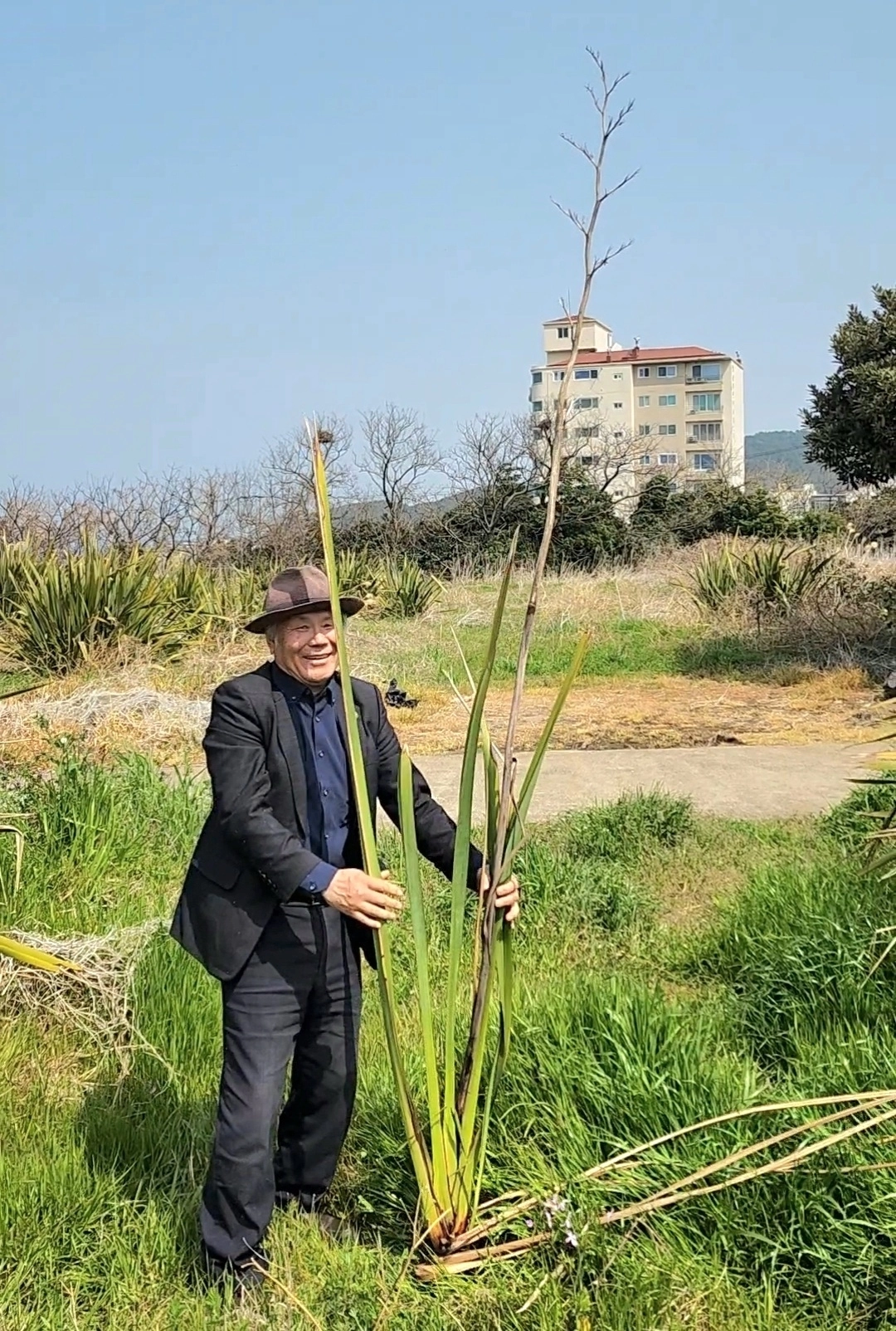 제주 화북지역에서 신사라를 오랫동안 재배해온 김동호 한라AI콘텐츠진흥원장이 신사라를 붙잡고 포즈를 취하고 있다. 제주신사라 제공