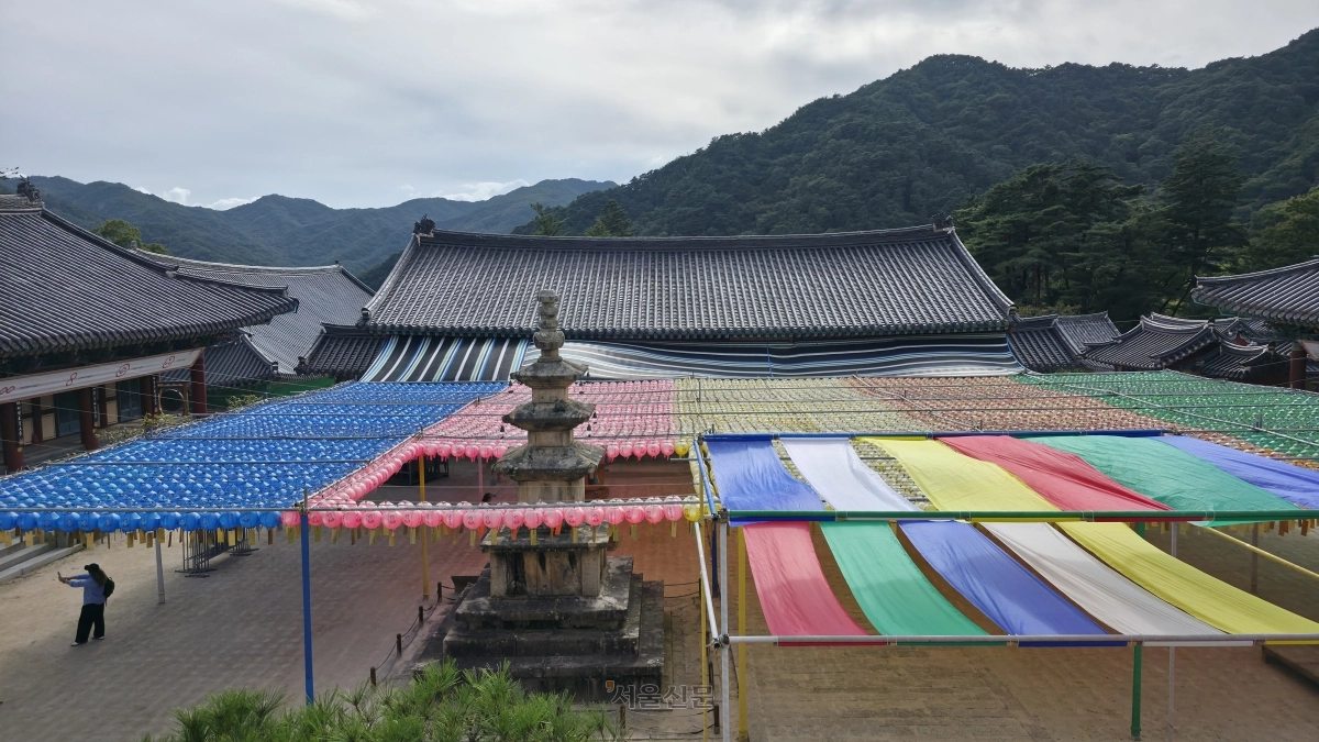 ‘법보종찰’ 해인사 전경. 신라 애장왕 3년인 802년 창건했다. 불보종찰 통도사, 승보종찰 송광사와 함께 우리나라 삼보종찰로 불린다.