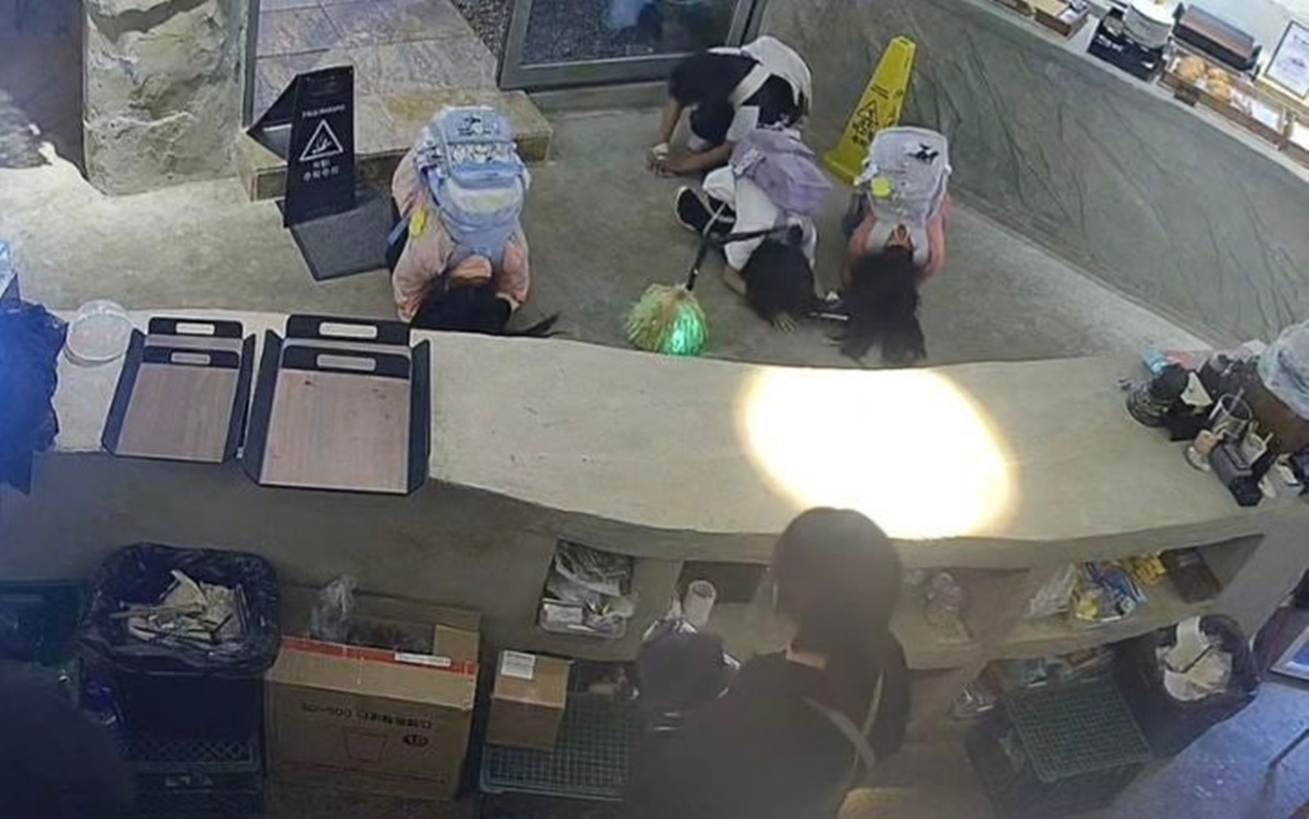 돈이 부족해 빵 구매를 포기한 초등학생들에게 크루아상을 건넨 한 카페의 사연이 알려졌다. 빵을 선물 받은 아이들은 카페 직원들에게 나란히 큰절을 올리며 감사의 마음을 전했다. 스레드(@dal__soup) 캡처