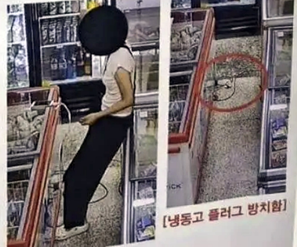 한 무인 아이스크림 매장에서 냉동고 전원 플러그를 뽑아 자신의 휴대전화를 충전한 뒤 그대로 떠난 여성 때문에 아이스크림이 모두 녹았다는 사연이 전해졌다. 온라인 커뮤니티