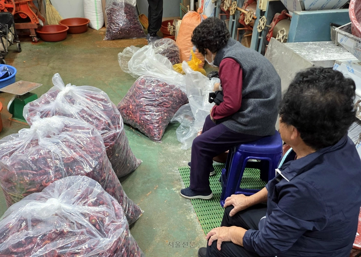 [천태만컷] 순서를 기다리는 정겨운 가을 풍경