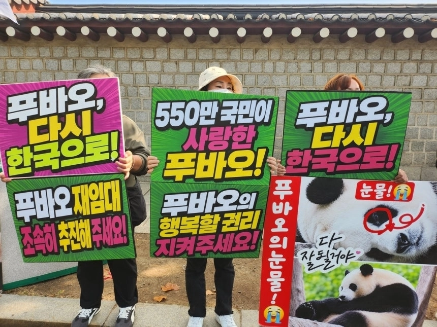 15일 오전 서울 청와대 사랑채 앞에서 시민단체 ‘푸바오귀환촉구연대’ 회원들이 집회를 열고 있다. 2026.10.15 연합뉴스